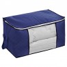 CAJA ORGANIZADORA CON VISOR DECOTEAM AZUL